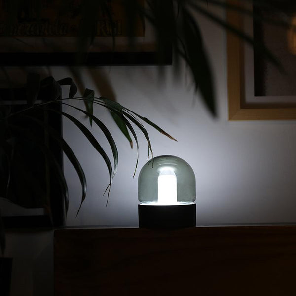 Asher - Glass Dome Desk Lamp